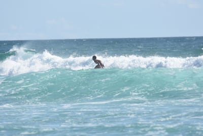 DSC_2579.JPG