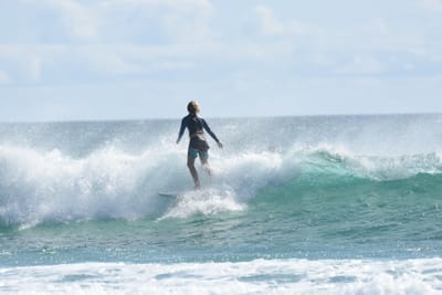 DSC_2585.JPG
