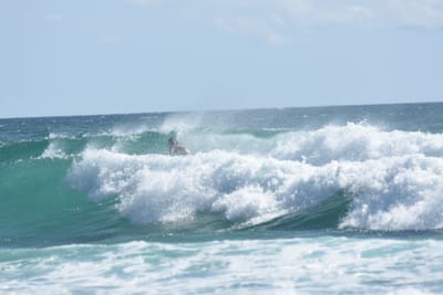 DSC_2586.JPG