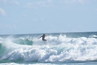 DSC_2588.JPG