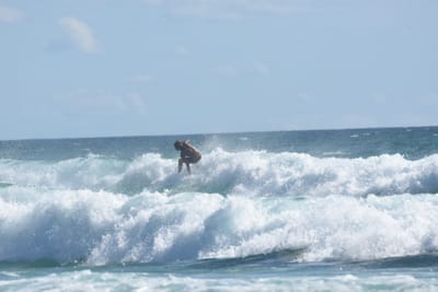 DSC_2591.JPG