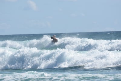 DSC_2592.JPG
