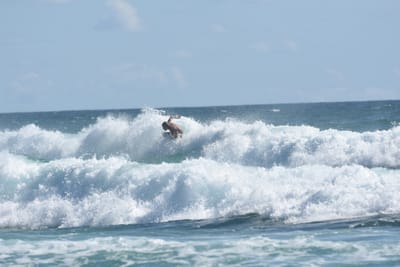 DSC_2593.JPG