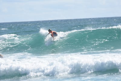 DSC_2595.JPG