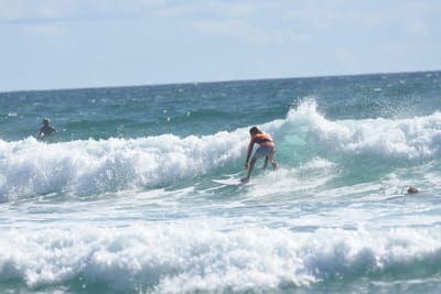 DSC_2596.JPG