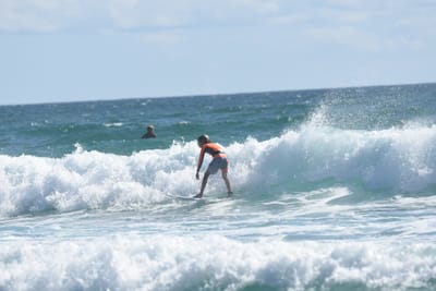 DSC_2598.JPG