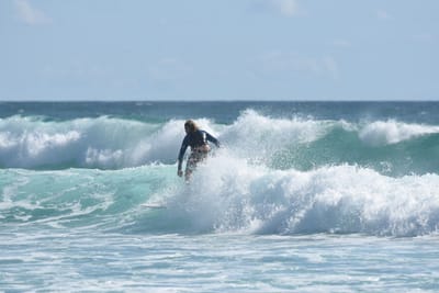 DSC_2603.JPG