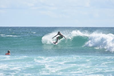 DSC_2611.JPG