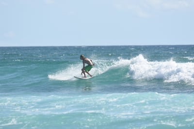 DSC_2619.JPG