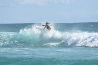 DSC_2629.JPG