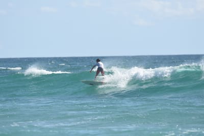 DSC_2639.JPG