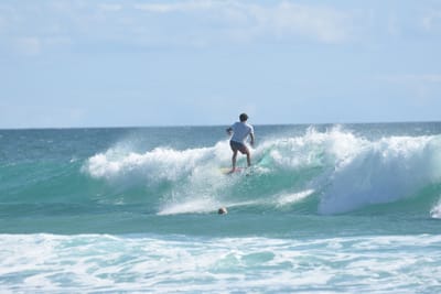 DSC_2643.JPG