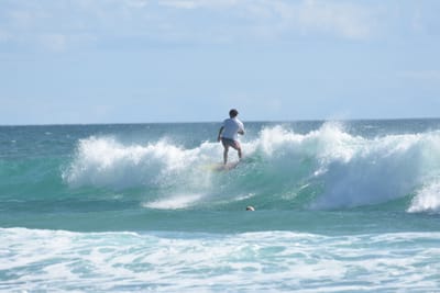 DSC_2644.JPG