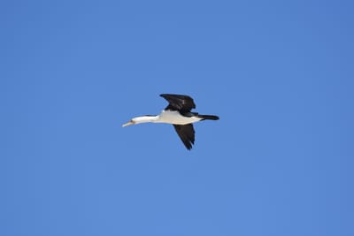 DSC_2645.JPG