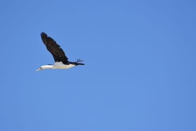DSC_2646.JPG
