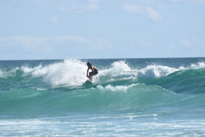 DSC_2649.JPG