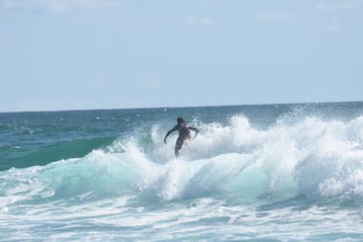 DSC_2650.JPG
