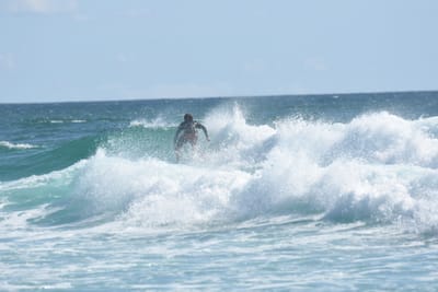 DSC_2651.JPG