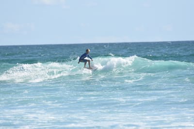 DSC_2662.JPG