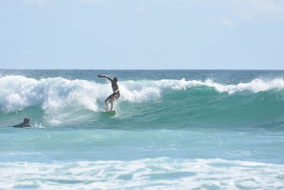 DSC_2677.JPG