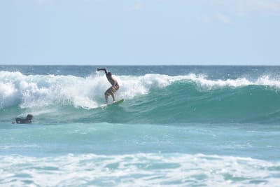 DSC_2678.JPG