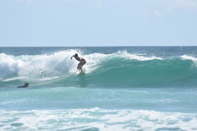 DSC_2679.JPG