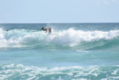 DSC_2685.JPG