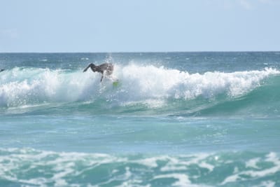 DSC_2686.JPG