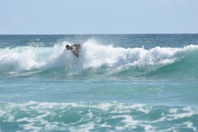 DSC_2687.JPG