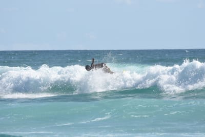 DSC_2694.JPG