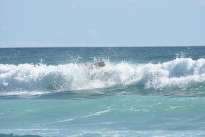 DSC_2695.JPG