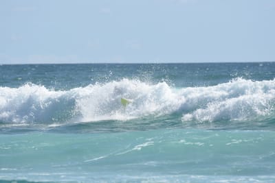DSC_2696.JPG
