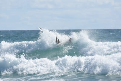 DSC_2698.JPG