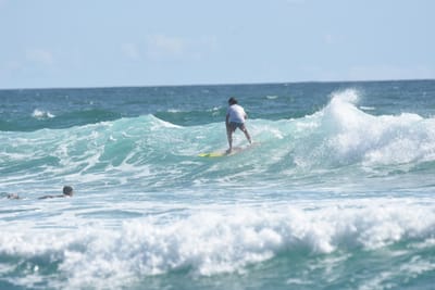 DSC_2700.JPG