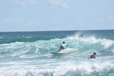 DSC_2701.JPG
