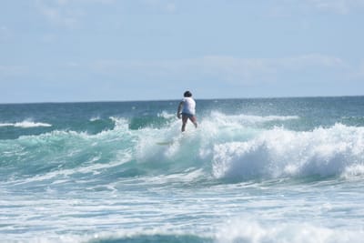 DSC_2708.JPG