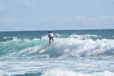 DSC_2710.JPG