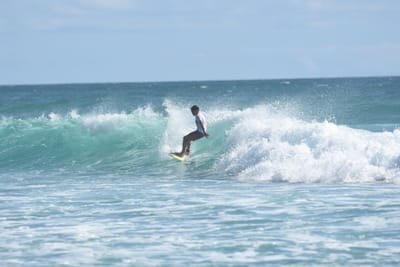 DSC_2718.JPG