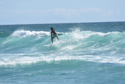 DSC_2732.JPG