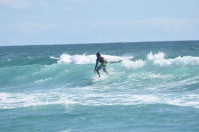 DSC_2733.JPG