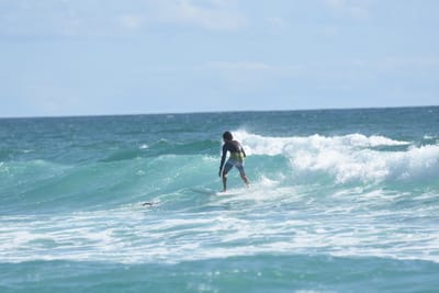 DSC_2734.JPG