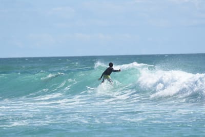 DSC_2739.JPG