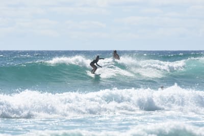 DSC_2747.JPG