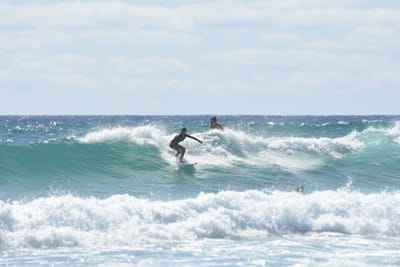 DSC_2748.JPG