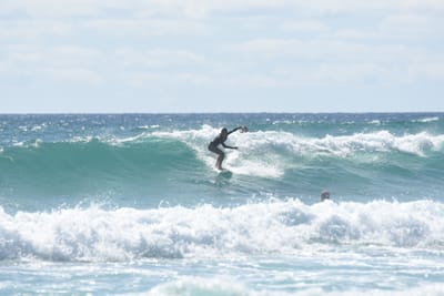 DSC_2749.JPG