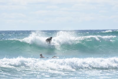 DSC_2758.JPG