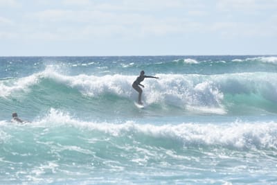 DSC_2761.JPG