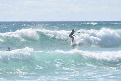 DSC_2762.JPG