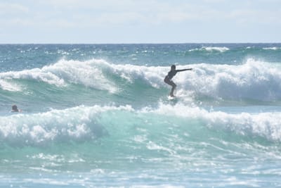 DSC_2763.JPG