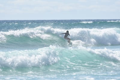 DSC_2765.JPG